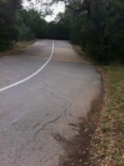 2011-05-17-Janeen's TBI-18.jpg